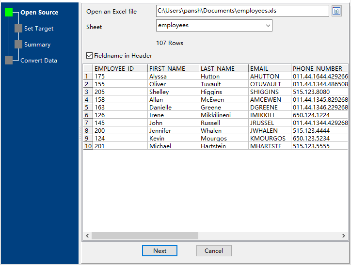 open Excel