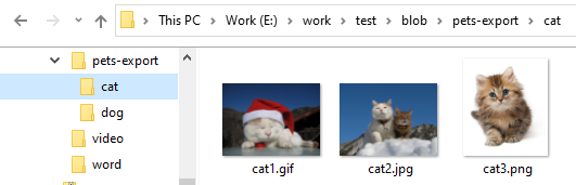 cat folder